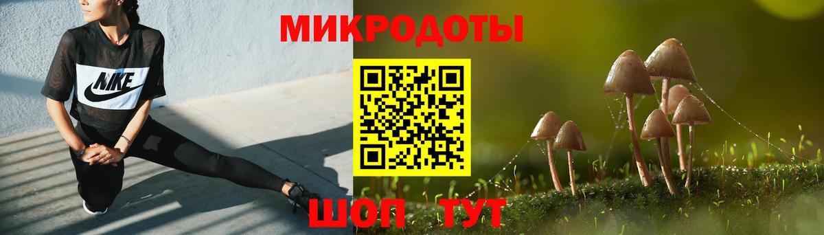 Новокубанск  Галлюциногенные грибы прущие грибы  Вход с VPN 